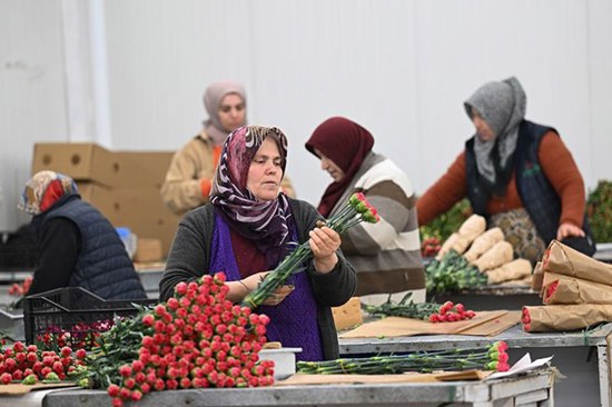 تركيا تُغرق العالم بالزهور في عيد الحب