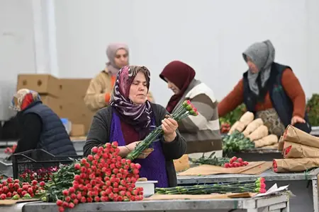 تركيا تُغرق العالم بالزهور في عيد الحب تركيا تُغرق العالم بالزهور في عيد الحب