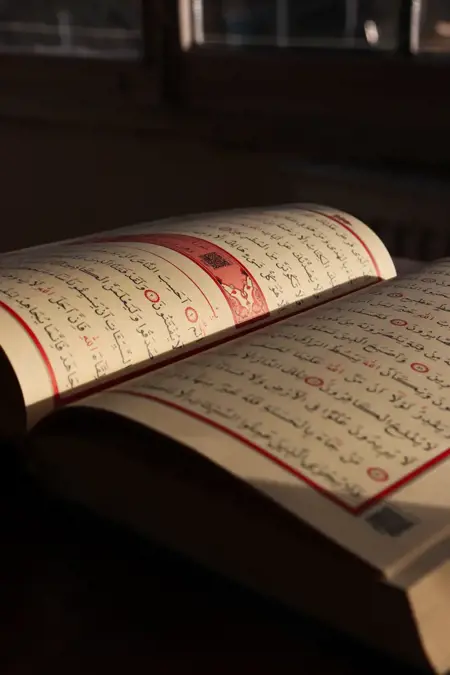 سورة الواقعة.. «سورة الغنى» وفضل المواظبة على قراءتها