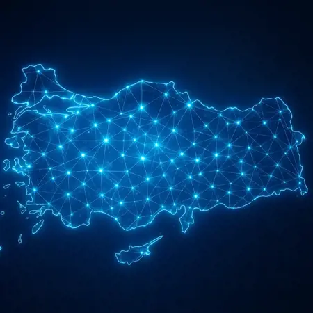 أكثر من 90 % من الأتراك متصلون بالإنترنت لأول مرة