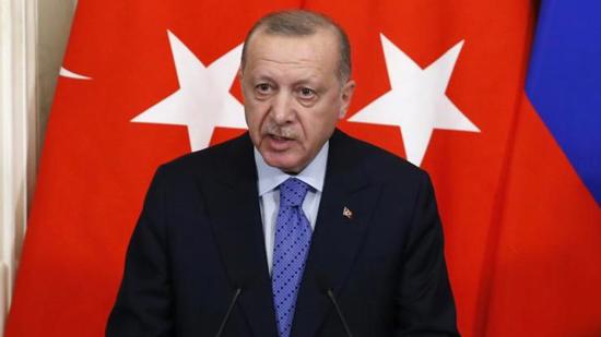 أردوغان يكشف مطالب روسيا فيما يتعلق بمبادرة الحبوب