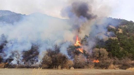اندلاع حريق غابات هائل في ولاية “جوروم” شمالي تركيا