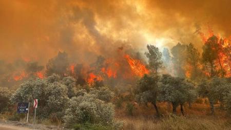 عاجل ..اعتقال عدد من مفتعلي حرائق الغابات في 8 مقاطعات تركية