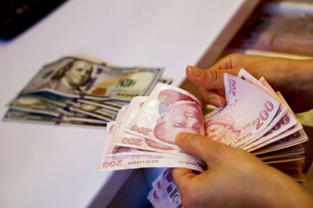 الليرة التركية تواصل انخفاضها أمام العملات الأجنبية مسجلة رقما قياسيا جديدا