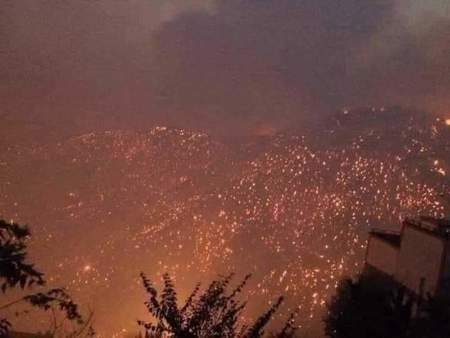 تركيا تقدم تعازيها إلى الجزائر في ضحايا حرائق الغابات