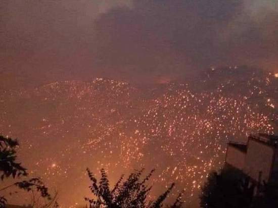 تركيا تقدم تعازيها إلى الجزائر في ضحايا حرائق الغابات