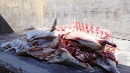 ضبط 1.2 طن من اللحم الفاسد الجاهز للبيع في شانلي أورفا