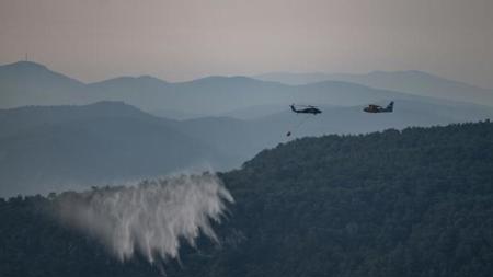 تركيا تعلن سيطرتها على حريق الغابات في جناق قلعة