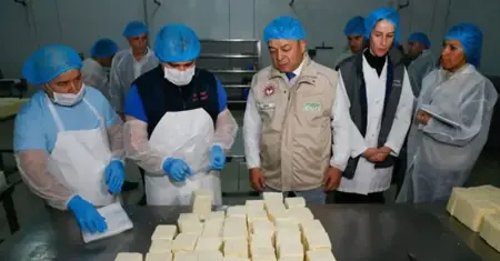 هل تختلف الرقابة بين المطاعم الشعبية والسياحية في تركيا؟