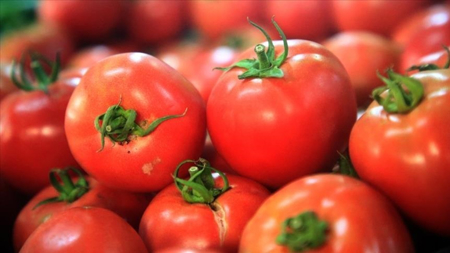 ارتفاع صادرات تركيا من الطماطم المجففة  خلال 8 أشهر 