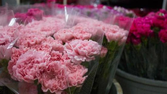 ازدهار صادرات الزهور في تركيا العام الماضي 