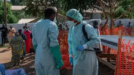 نيجيريا: ارتفاع وفيات حمّى لاسا إلى 237 هذا العام ومعدّل الوفاة يبلغ 23.7%