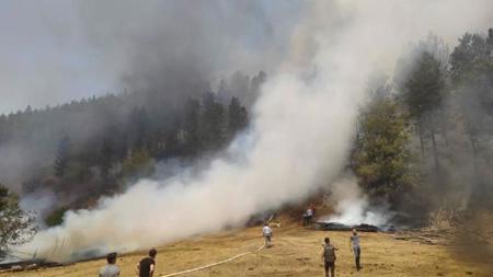 اندلاع حريق هائل في غابات  باليكسير