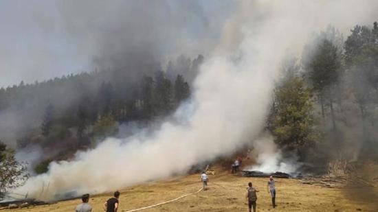 اندلاع حريق هائل في غابات  باليكسير