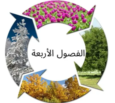 متى تحزم حقائبك لزيارة بلد الفصول الأربعة؟