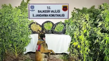 القبض على عصابة إجرامية خطيرة في باليكسير