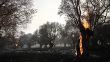 إخلاء منطقة إينوسا في اليونان إثر اندلاع حريق غابات.. وحريق آخر في جزيرة ميديللي
