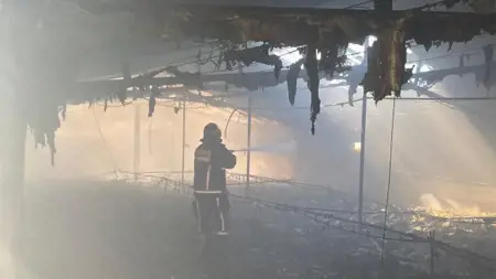 حريق مهول يقتل 10 آلاف دجاجة في سكاريا