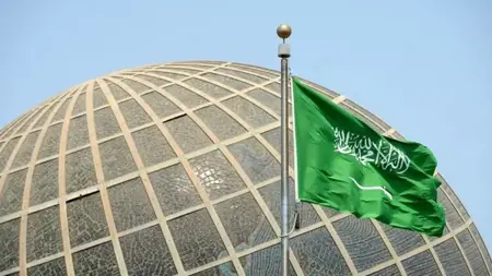 السعودية تحذر من جمع الجراد وأكله