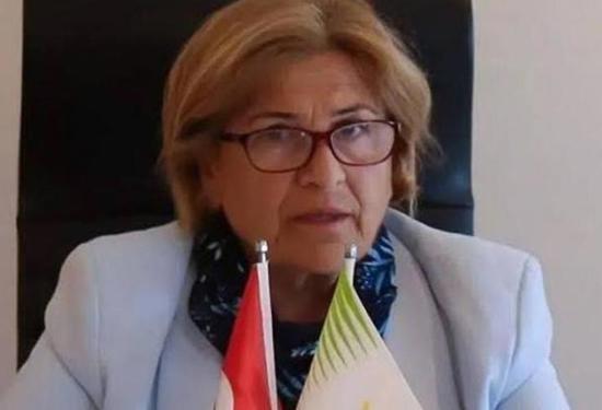 استقالة مفاجئة في جزر إسطنبول.. والانتخابات بعد أسبوع