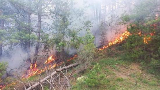تركيا..فرق الإنقاذ تكافح لاحتواء حرائق الغابات في بولو
