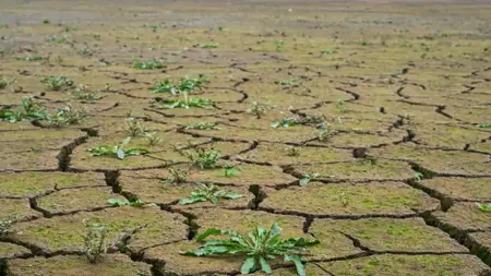 إسطنبول تواجه أزمة مياه والخبراء يناشدون المواطنين