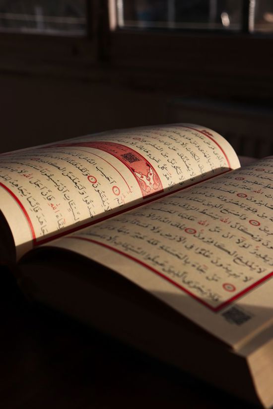 فضل سورة الملك (تبارك).. «المُنجية» و«المانعة» بإذن الله