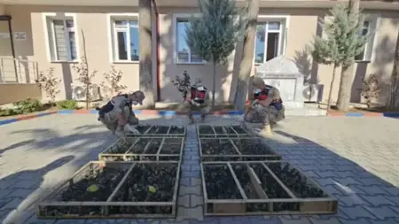 هطاي.. ضبط 2114 طائر حسّون في مقطورة جرّار وتغريم السائق 19.8 مليون ليرة