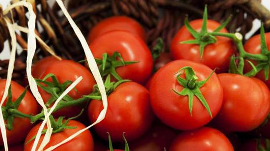  سعر  الطماطم  يسجل ارتفاع ملحوظ  في إسطنبول