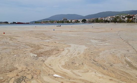 وزير البيئة التركي : قمنا بتنظيف 5300 متر مكعب من الصمغ في بحر مرمرة