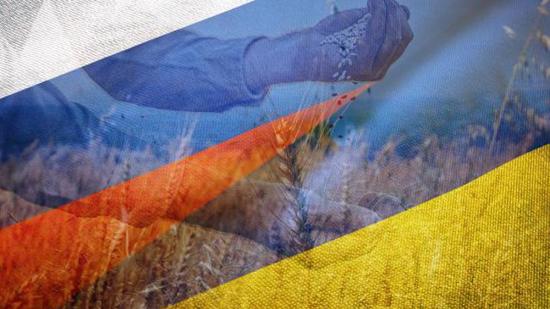 أوكرانيا تعلن بدء أعمال شحن الحبوب في 3 موانئ في البحر الأسود