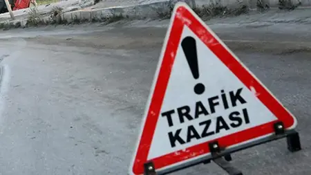 النحل يمنع الجميع من الاقتراب من مكان حادث في ولاية زونجولداك التركية