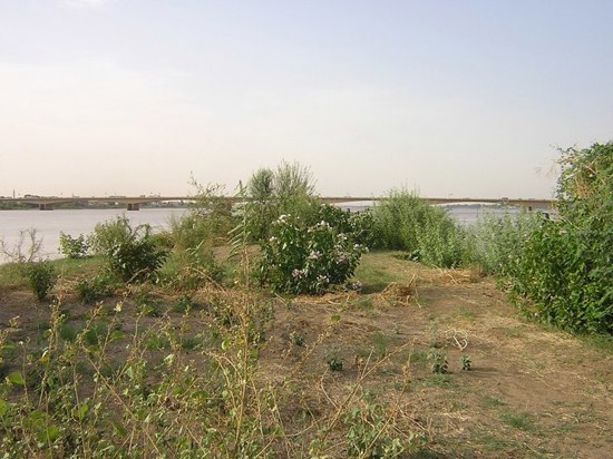 النيابة العامة السودانية تتّهم الإمارات بدعم الدعم السريع أمام مجلس حقوق الإنسان