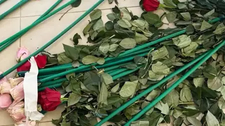 ضبط 84 كيلوغراماً من الكوكايين مخبأة داخل شحنات ورود إلى اليونان