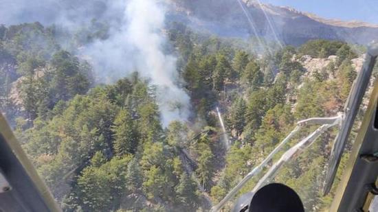 اندلاع حريق في غابات أنطاليا وبدء محاولات السيطرة