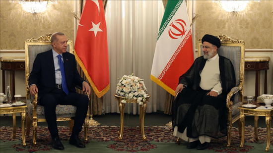 أردوغان يلتقي نظيره الإيراني في طهران