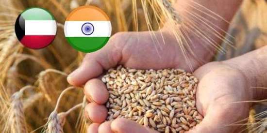 الكويت تعتزم تقديم طلب للهند استثناءها من حظر تصدير القمح