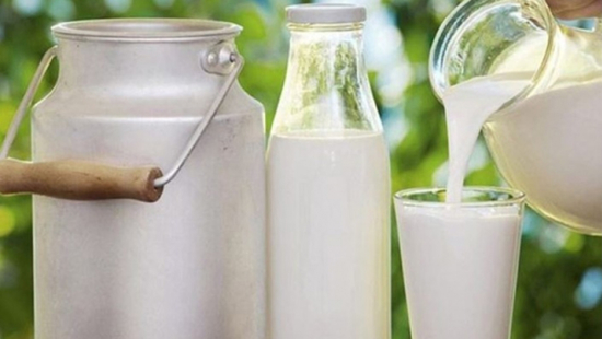 تذمر واسع في أوساط منتجي الحليب في تركيا لهذا السبب 