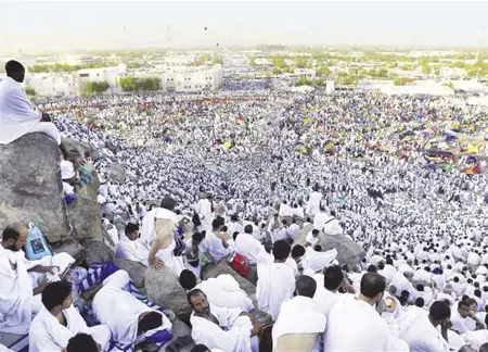 خير الدعاء دعاء يوم عرفة "يوم المغفرة واستجابة الدعاء"