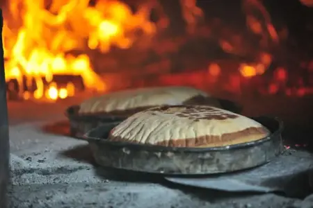 ولاية تركية تخصص "مخبراً خاصاً" لإطعام الدببة