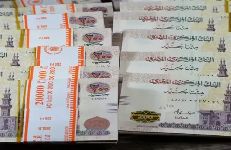 وزير المالية المصريّ يوضح حقيقة «مطالبة مصر بـ62 مليار دولار»