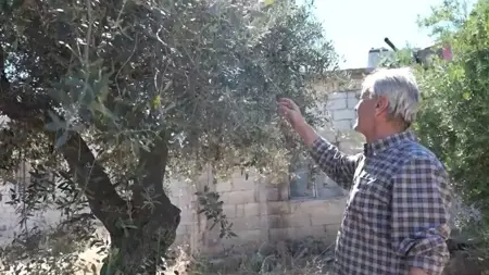 مبيدات إسرائيلية تتلف آلاف الدونمات الزراعية في ريف القنيطرة جنوبيّ سوريا