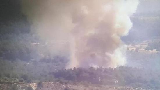 إزمير: اندلاع حريق في إحدى الغابات والسلطات تحاول السيطرة برًا وجوًا