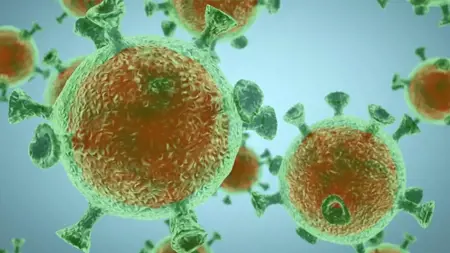 لديه 113 طفرة مختلفة ..ظهور نوع مخيف من فيروس كورونا في إندونيسيا