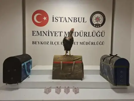 عملية غريبة في إسطنبول