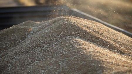 4.5 مليون طن من الحبوب عالقة في الموانئ الأوكرانية