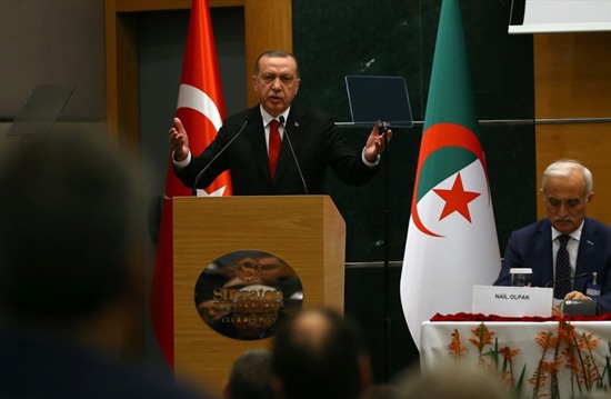 شراكة تركية جزائرية لإقامة مصنع بتروكيماويات بـ 1.4 مليار دولار
