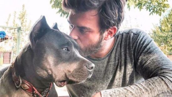 "مهند" يسافر إلى أمريكا لعلاج كلبه من السرطان
