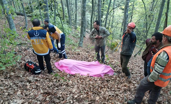 وفاة رجل تركي تحت شجرة بعد أن قام بقطعها