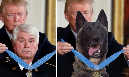 انتقادات حادة لـ"ترمب" لنشره صورة "مُزيفة" لتكريم الكلب "كونان"